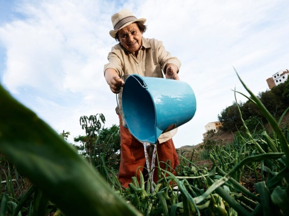 A aposentadoria rural é um benefício garantido a estes trabalhadores que contribuíram com o INSS